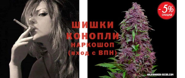 крисы Верхний Тагил
