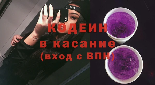 крисы Верхний Тагил