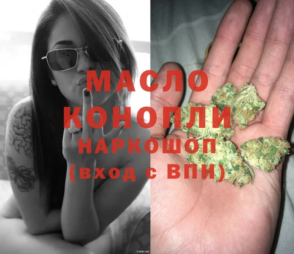 крисы Верхний Тагил
