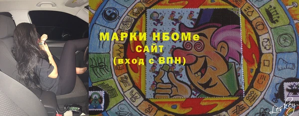 крисы Верхний Тагил