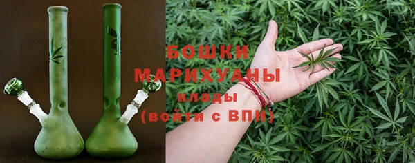 крисы Верхний Тагил