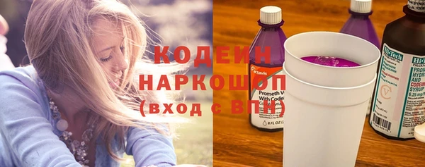 крисы Верхний Тагил
