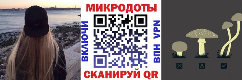 Псилоцибиновые грибы ЛСД Северобайкальск